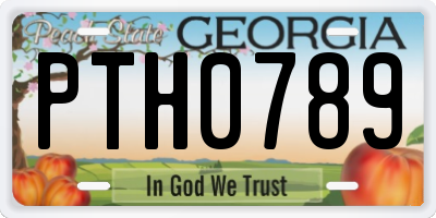 GA license plate PTH0789
