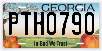 GA license plate PTH0790