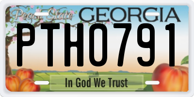 GA license plate PTH0791