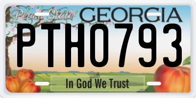 GA license plate PTH0793