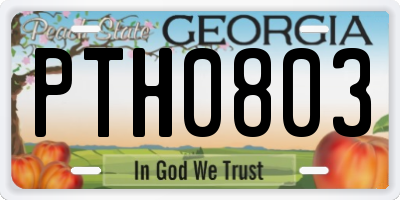 GA license plate PTH0803
