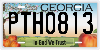 GA license plate PTH0813