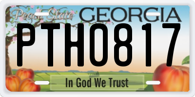 GA license plate PTH0817