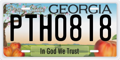 GA license plate PTH0818