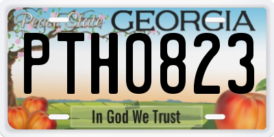 GA license plate PTH0823