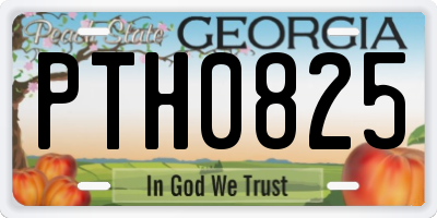 GA license plate PTH0825