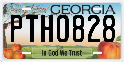 GA license plate PTH0828