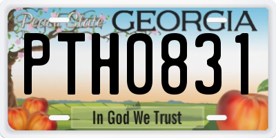 GA license plate PTH0831