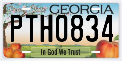 GA license plate PTH0834