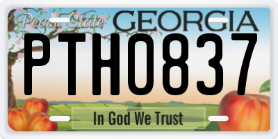 GA license plate PTH0837