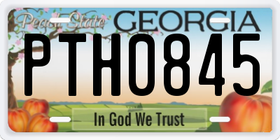 GA license plate PTH0845