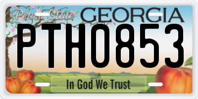 GA license plate PTH0853