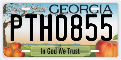 GA license plate PTH0855