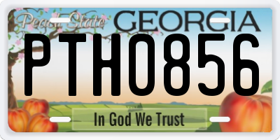 GA license plate PTH0856