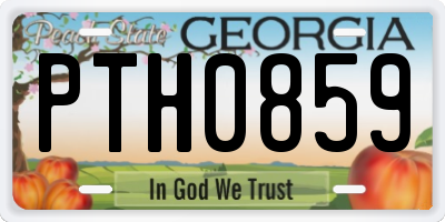 GA license plate PTH0859
