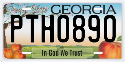 GA license plate PTH0890