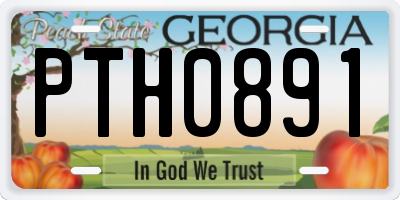 GA license plate PTH0891