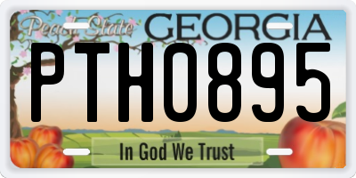 GA license plate PTH0895