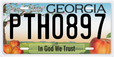 GA license plate PTH0897