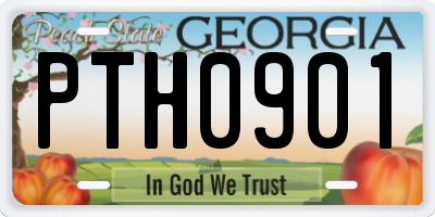 GA license plate PTH0901