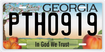 GA license plate PTH0919