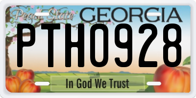 GA license plate PTH0928