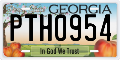 GA license plate PTH0954