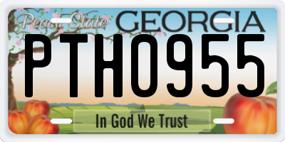GA license plate PTH0955