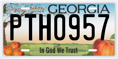 GA license plate PTH0957