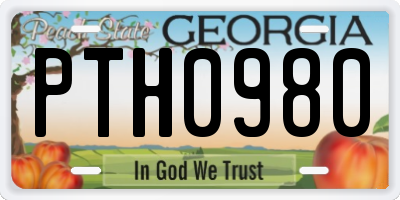 GA license plate PTH0980