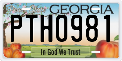 GA license plate PTH0981