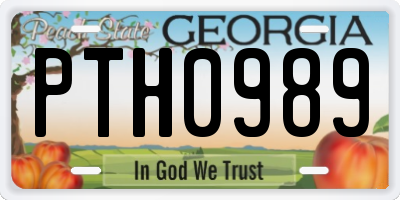GA license plate PTH0989