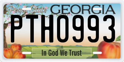GA license plate PTH0993