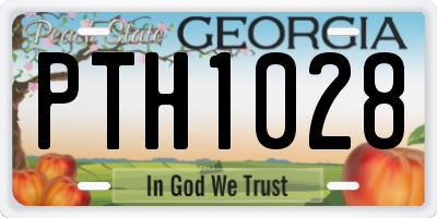 GA license plate PTH1028