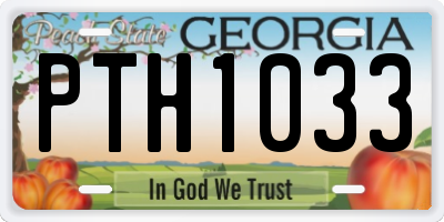 GA license plate PTH1033