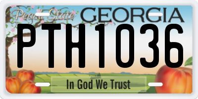 GA license plate PTH1036