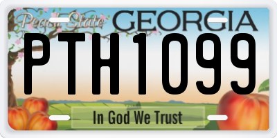 GA license plate PTH1099