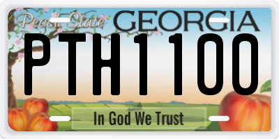 GA license plate PTH1100