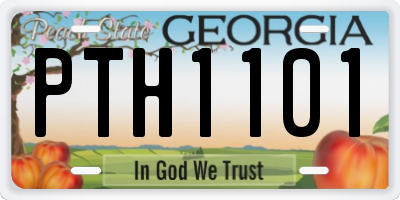 GA license plate PTH1101