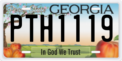 GA license plate PTH1119