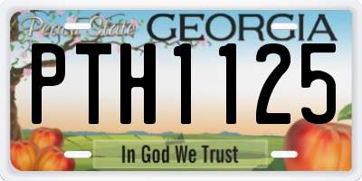 GA license plate PTH1125