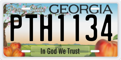 GA license plate PTH1134