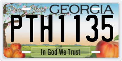 GA license plate PTH1135