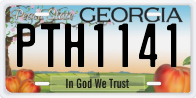 GA license plate PTH1141