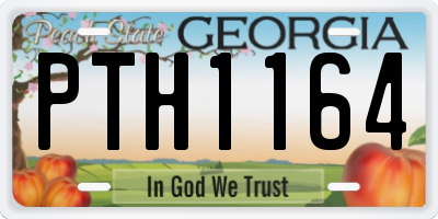 GA license plate PTH1164
