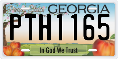 GA license plate PTH1165