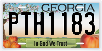 GA license plate PTH1183