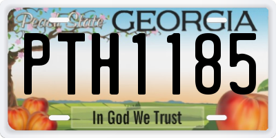 GA license plate PTH1185