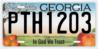 GA license plate PTH1203