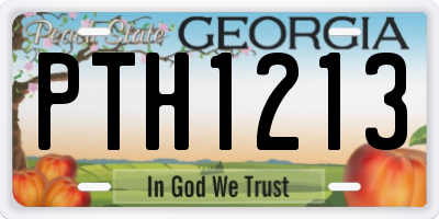 GA license plate PTH1213